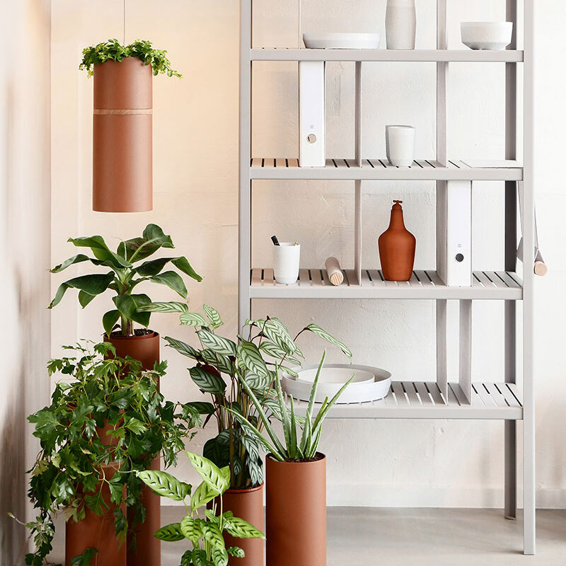 Vij5 Plant Collectors P1010182 vierkant Vij5 Plant Collectors P1010182 vierkant