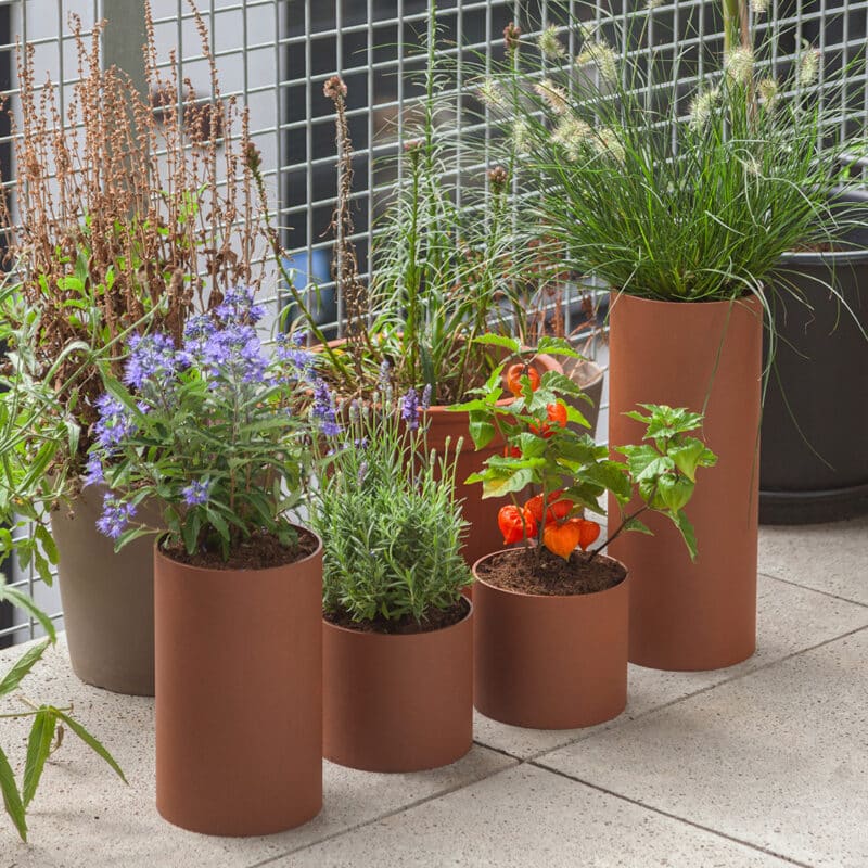 Vij5 Plant Collectors by Arjan van Raadshooven & Anieke Branderhorst (image by Vij5 2021) (26) vierkant Vij5 Plant Collectors by Arjan van Raadshooven & Anieke Branderhorst (image by Vij5 2021) (26) vierkant