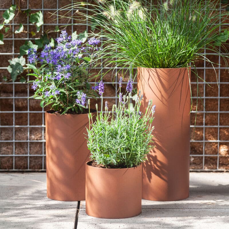 Vij5 Plant Collectors by Arjan van Raadshooven & Anieke Branderhorst (image by Vij5 2021) (8) vierkant Vij5 Plant Collectors by Arjan van Raadshooven & Anieke Branderhorst (image by Vij5 2021) (8) vierkant