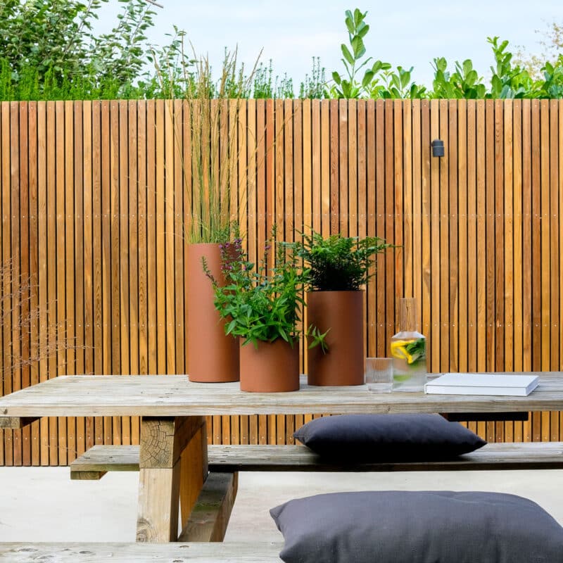 Vij5 Plant Collectors DSF1863 vierkant Vij5 Plant Collectors DSF1863 vierkant