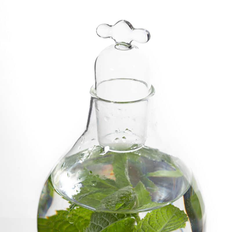 Vij5 Tap Water Carafe in glas door Lotte de Raadt 2023 image by Vij5 IMG 6248 SHOP Vij5 Tap Water Carafe in glas door Lotte de Raadt 2023 image by Vij5 IMG 6248 SHOP