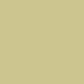 ral1000-groen-beige
